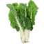 Photo of Silverbeet Bunch