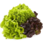 Photo of Fancy Lettuce Mixed