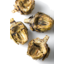 Photo of Lamanna&Sons Grilled Artichokes