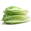 Photo of Lettuce Cos Baby 2pk