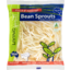 Photo of Living Sprouts Bean Sprouts 250g