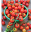 Photo of Tomato Cherry Loose