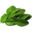 Photo of Lime Leaf Pack