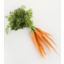 Photo of Carrots Dutch (Baby) Bunch