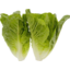 Photo of Baby Cos Lettuce 2pk