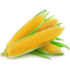 Photo of Corn Sweet Ea