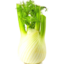 Photo of Fennel(Each)