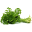 Photo of Parsley Continental 