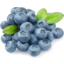 Photo of Jumbo Blueberries Punnet