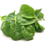 Photo of Spinach Baby