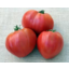 Photo of Ox Heart Tomatoes