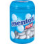 Photo of Mentos Mint Bottle
