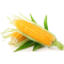 Photo of Corn Sweet Cob Each