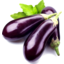 Photo of Eggplant Glasshouse