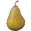 Photo of Organic Bosch Pears