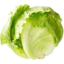 Photo of Lettuce