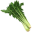 Photo of Chicory Bunch