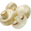 Photo of Org Mushroom Punnet